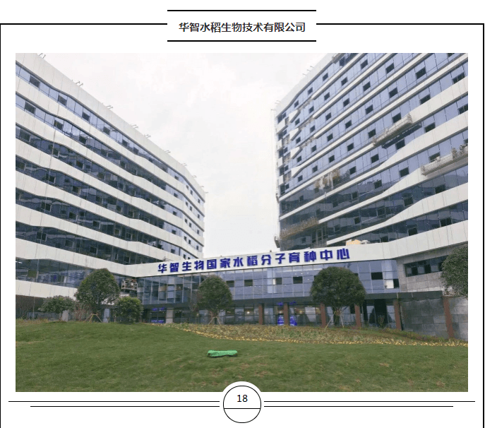 長(zhǎng)海案例 | 帶您見(jiàn)證華智水稻項(xiàng)目全新面貌！感受有質(zhì)感的實(shí)驗(yàn)室